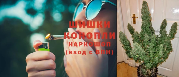 прущие грибы Богданович