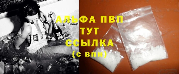 прущие грибы Богданович
