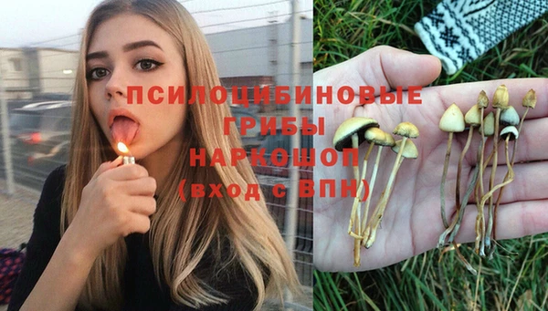 наркотики Богородск