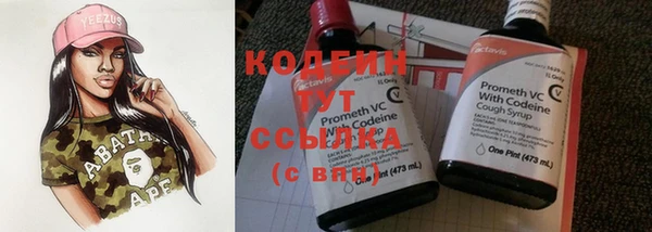 прущие грибы Богданович