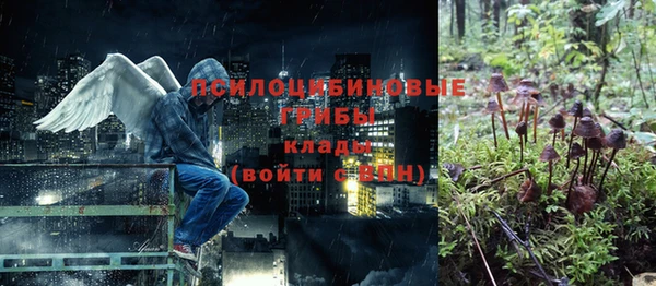 гидропоника Белоозёрский