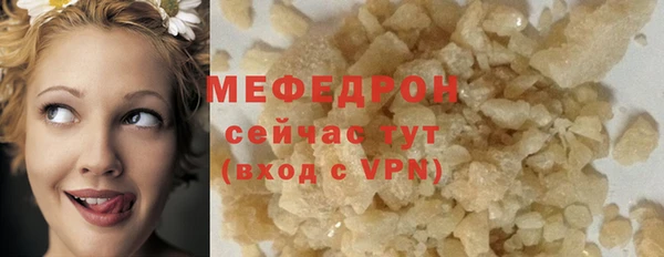 прущие грибы Богданович
