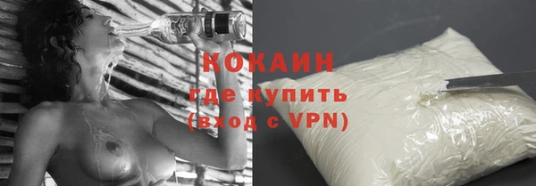 прущие грибы Богданович