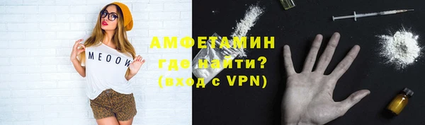 прущие грибы Богданович