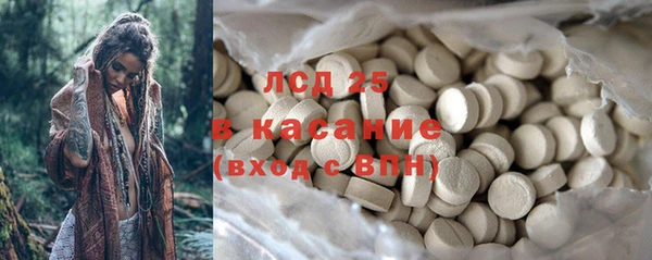 прущие грибы Богданович